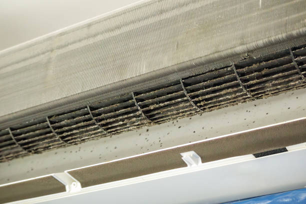 Best Air Duct Cleaning Near Me  in Orangeburg, NY